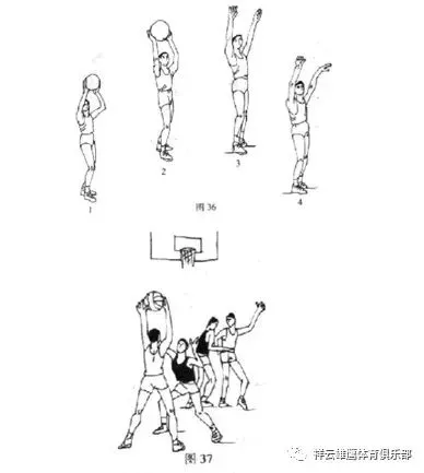 篮球比赛期期运动训练计划安排_1